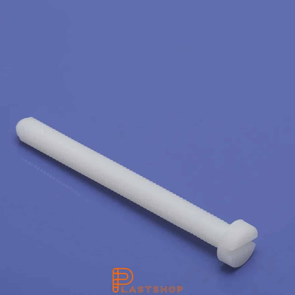 PA6 tornillo de ranura con cabeza cilíndrica M2x20 mm