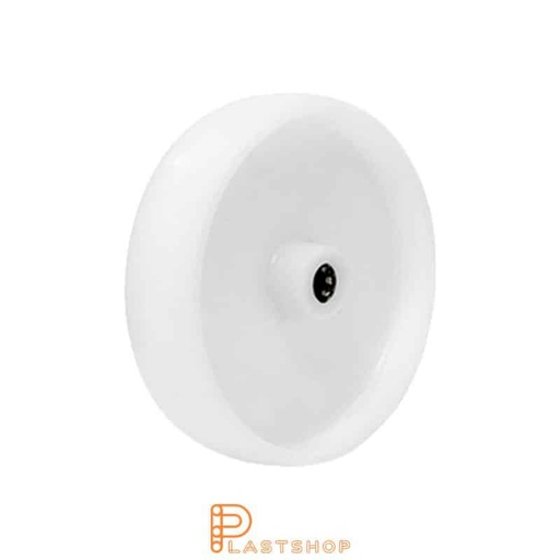 [P2002024] Stainless steel industrial wheel 160 mm, 350 kg capacity, in solid PA6 in natural color, roller bearing